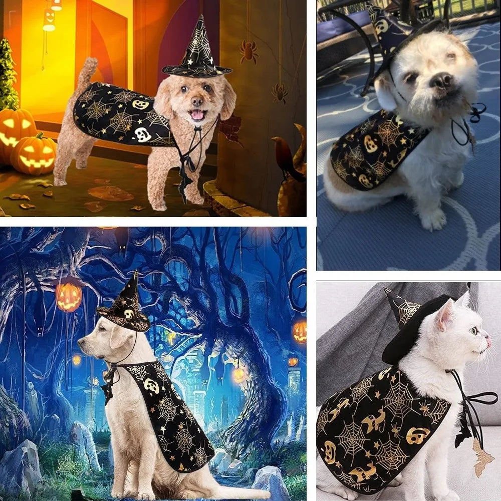 Engraçado abóbora animal de estimação trajes de halloween capa ajustável macio gatos cosplay roupas morcego preto halloween animal de estimação vestuário festa
