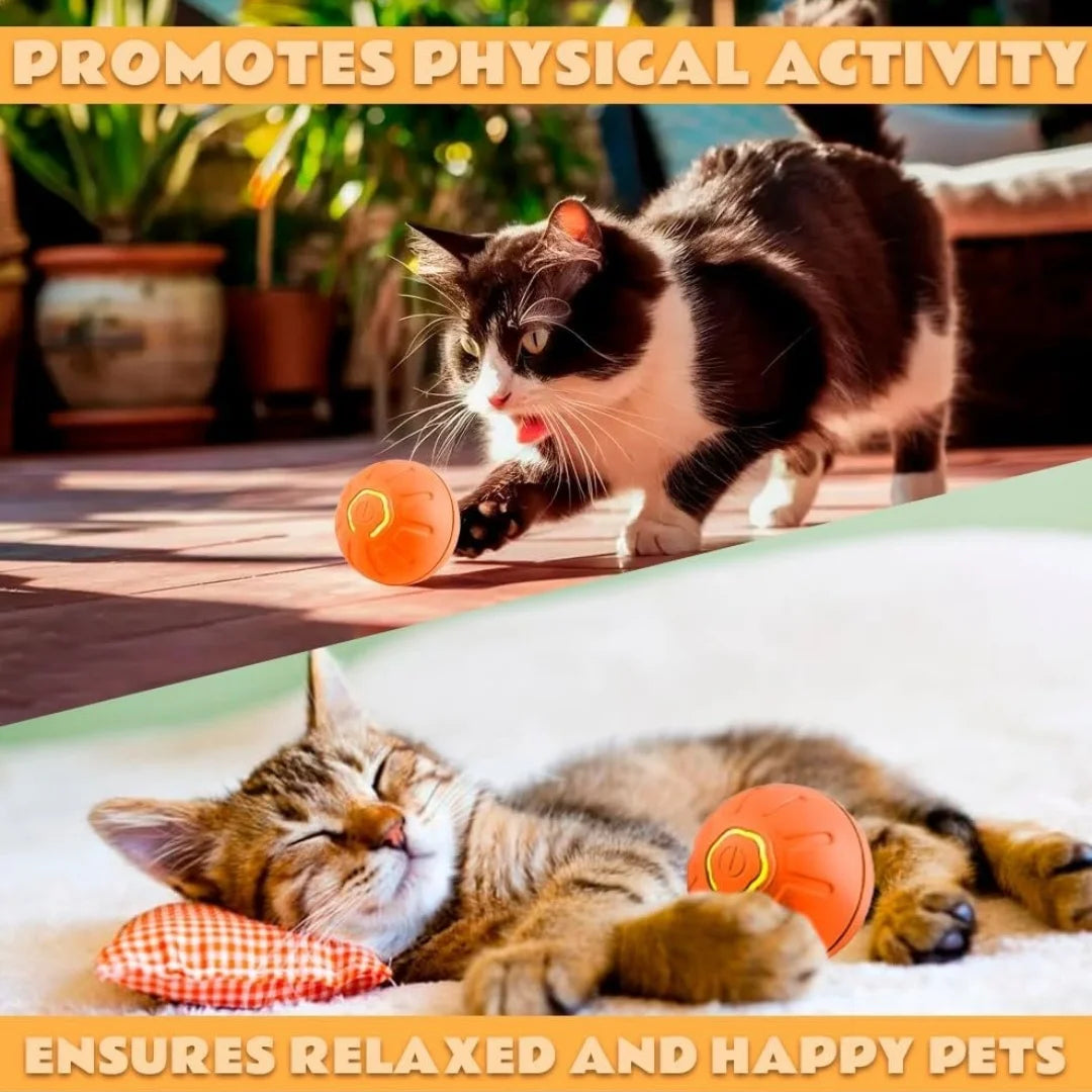 Brinquedos para animais de estimação: bola elétrica com mecanismo de gravidade, bola inteligente que salta, para cães e gatos.