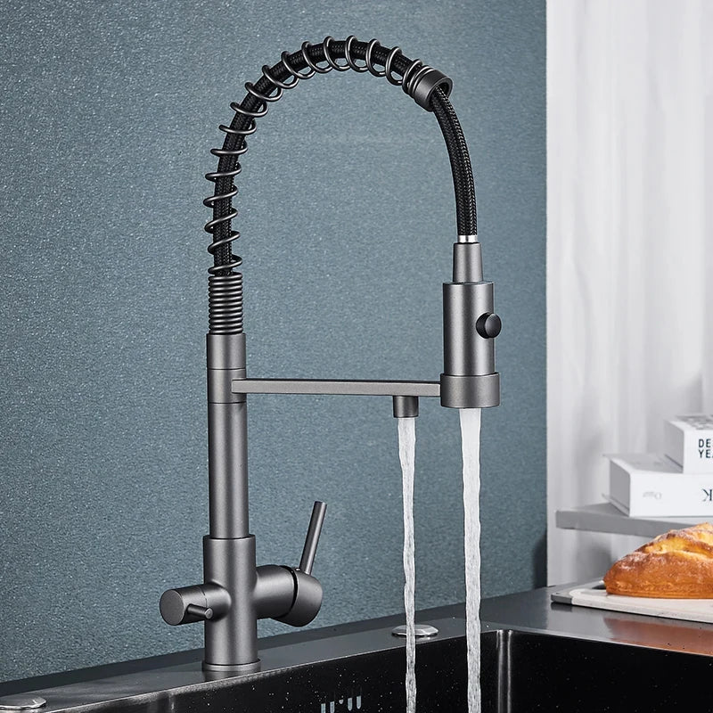 Torneira de cozinha de água potável, torneira preta para pia de cozinha, torneira de latão com filtro 360 ° Misturador de pia giratório modo duplo - Kasa & Pet