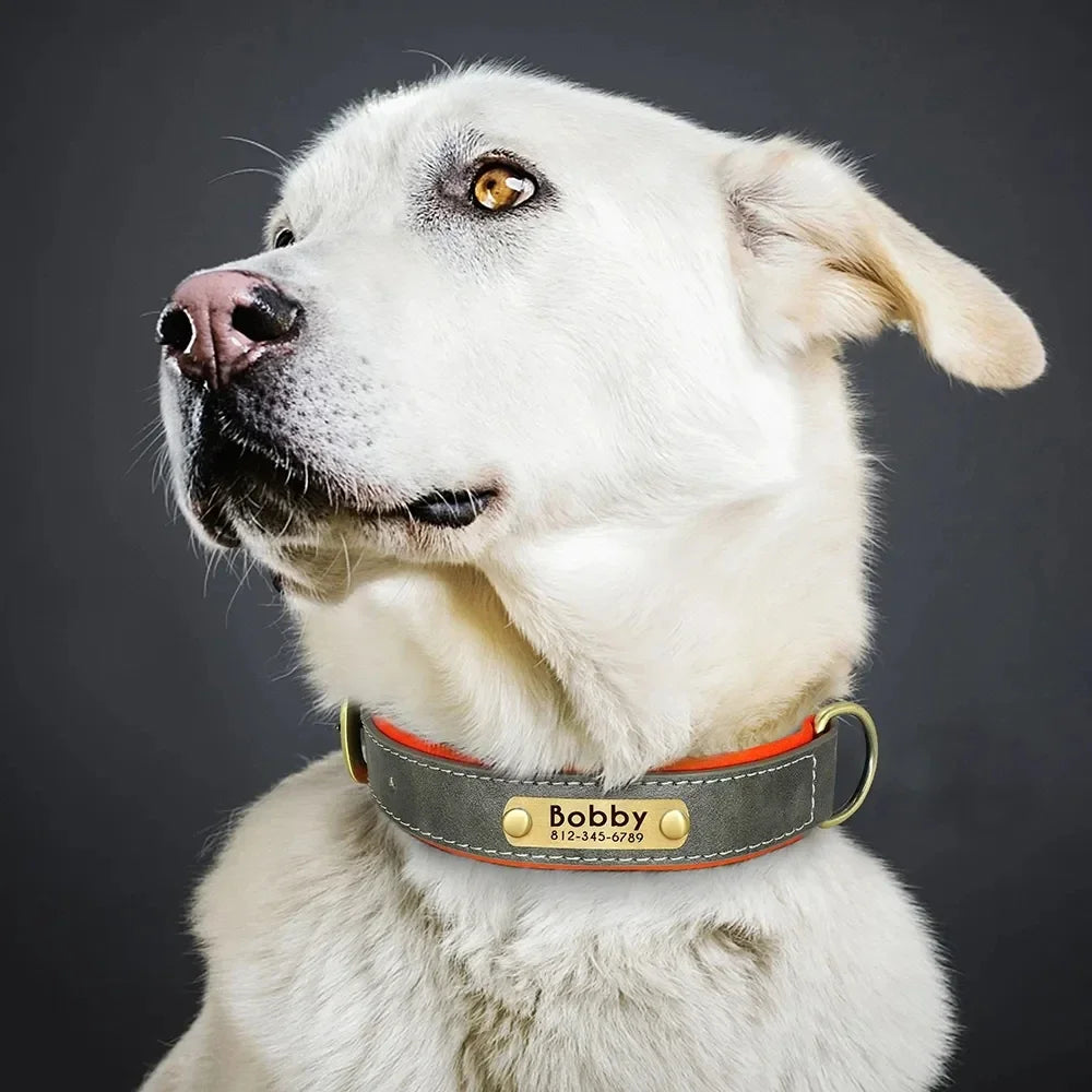 Coleira de Cão Personalizada em Couro com Placa de Identificação, Almofadada e Macia, Gravação Gratuita do Nome para Cães Pequenos, Médios e Grandes