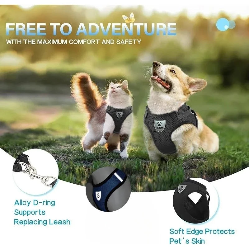 120 cm Traction Rope + Vest Type Leashes For Pet Small And Medium Tract Leashes Kit