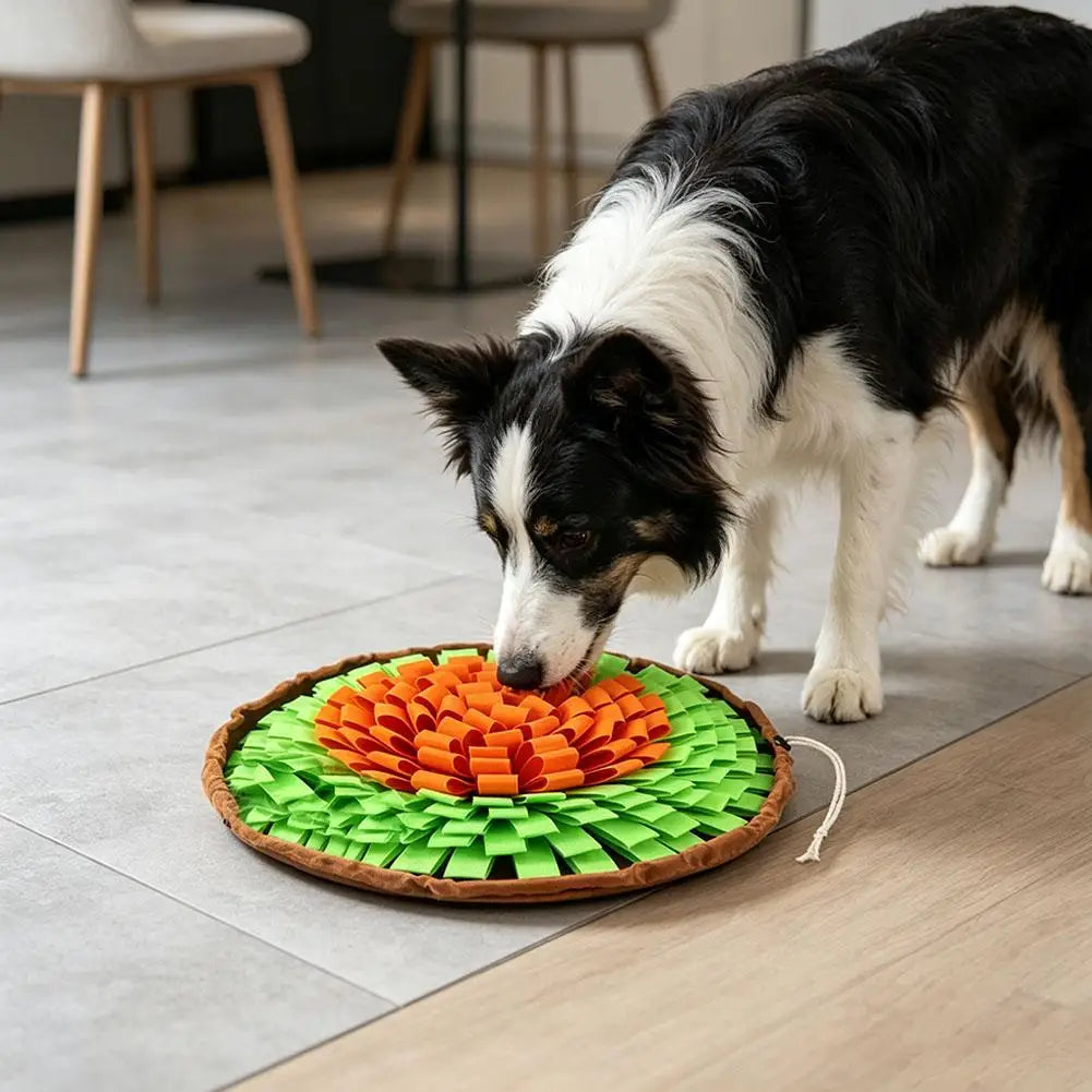 Tapete de busca para cães, jogo interativo de busca de alimentos, brinquedo em forma de tapete para alimentação lenta, ideal para o treino de cães, estimula as habilidades naturais de busca de alimentos.