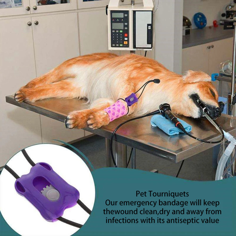 Torniquete plástico para animais de estimação, faixa de pressão de pulso animal, seguro e confiável, amantes de gatos e cães