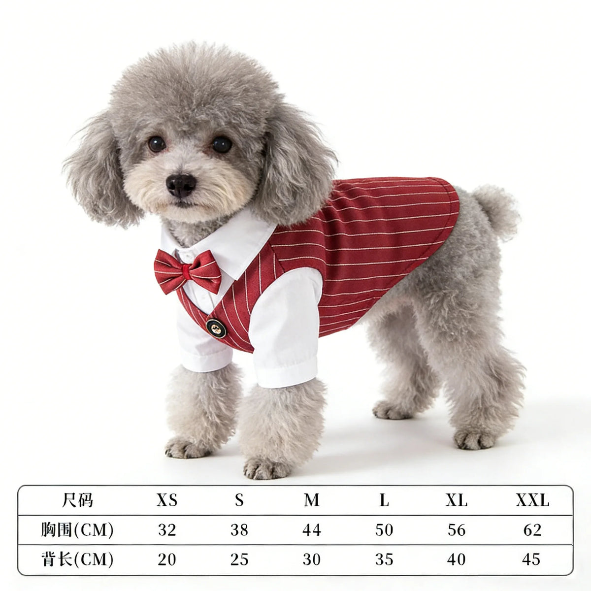 Traje de Primavera para Cães de Estimação: Camisa e Colete de Smoking para Casamento, Fantasia de Cavalheiro para Teddy, Bichon e Cães Pequenos