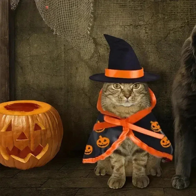 Halloween animal de estimação traje para gatos respirável macio bonito roupas para animais de estimação manto forma abóbora padrão arnês traje gato cão cosplay ferramenta