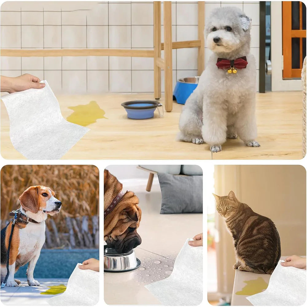 100 pçs/saco papel absorvente de urina do cão pet papel absorvente fralda almofada de urina secagem rápida limpar urina papel absorvente suprimentos para animais de estimação