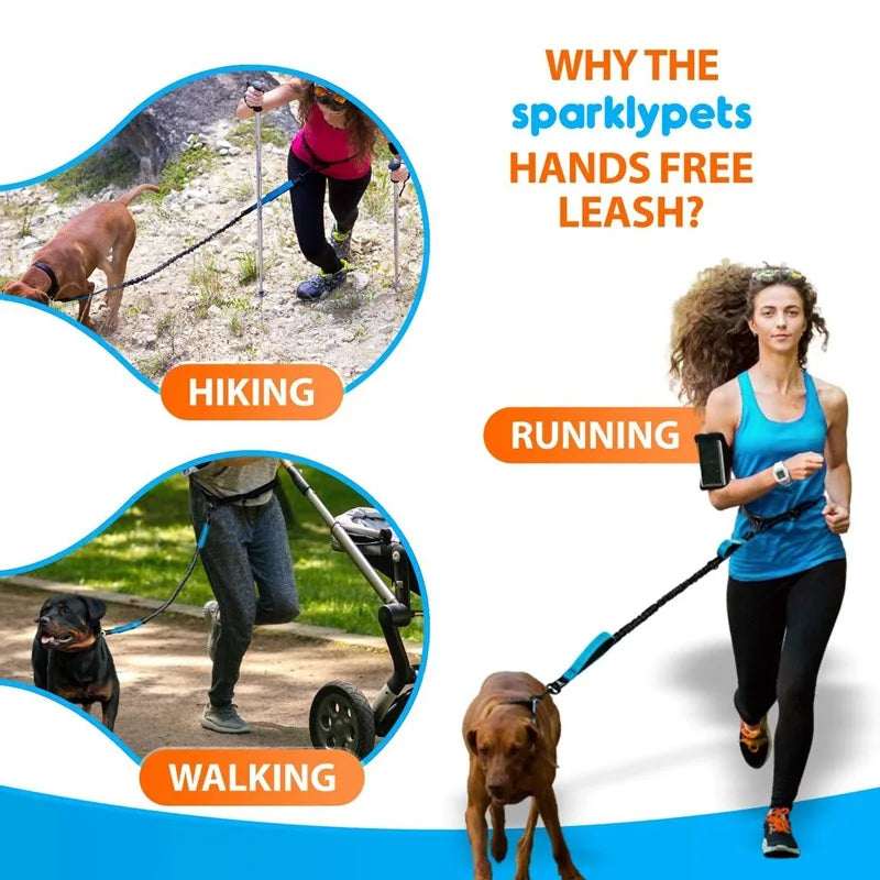 Double Elastic Reflective Running Leash Portable Retractable Dog Leash Dog Chain Leash Pet Supplies Wholesale
