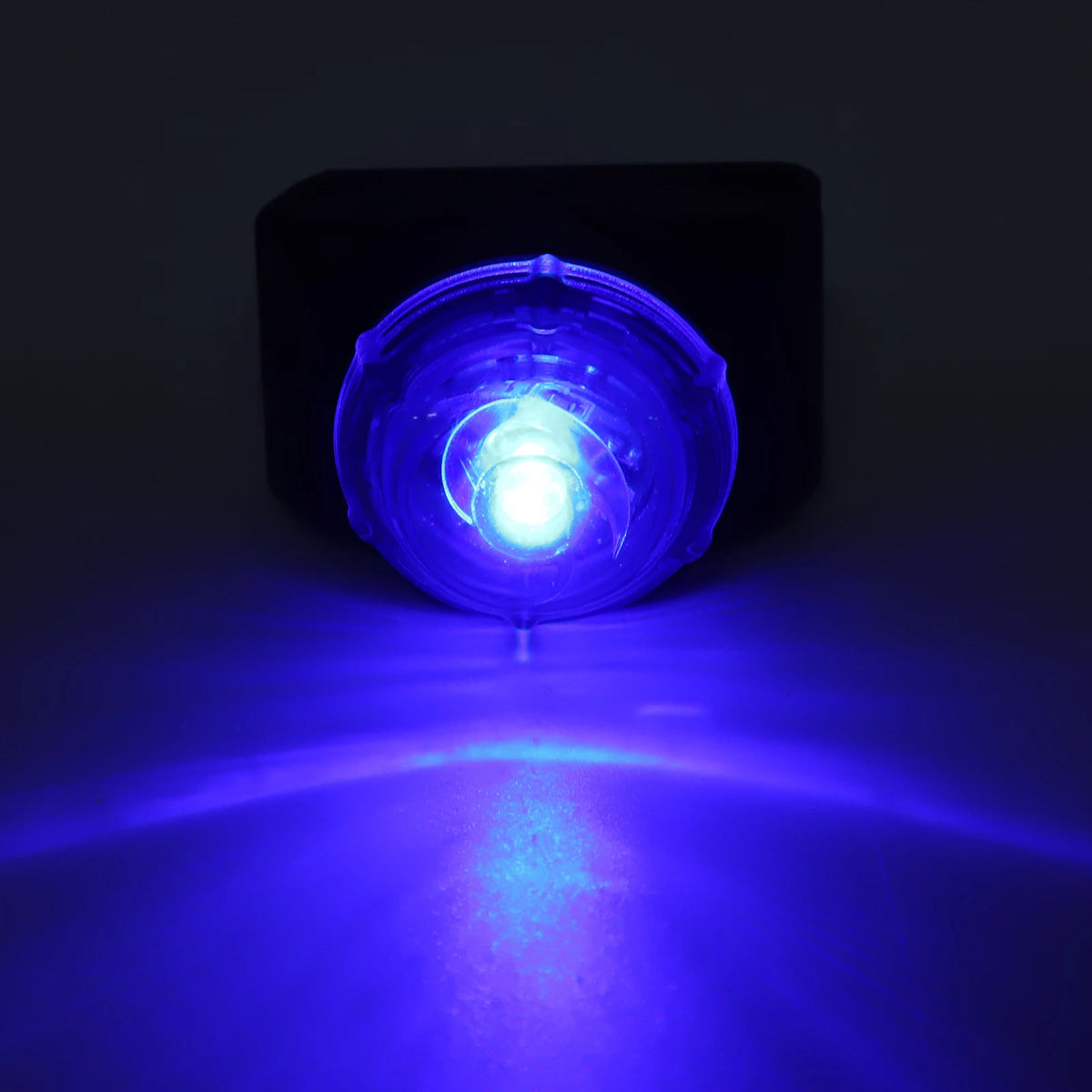 Luz de Coleira para Animais de Estimação, Luz LED Pendente à Prova d'Água, Luminosa e Brilhante, Lâmpada de Advertência Noturna, Clipe para Coleiras, Acessórios para Cães
