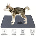 Tapete Absorvente Reutilizável e Lavável para Cães, Tapete de Urina para Carro, Sofá, Impermeável, para Treinamento de Filhotes e Gatos, Suprimentos para Animais de Estimação
