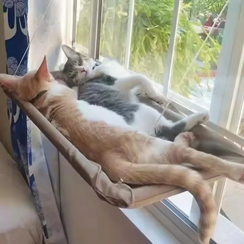 Inverno animal de estimação gato rede pendurado ventosa cama todas as estações janela vidro varanda banho de sol balanço pet resto acessórios para gato