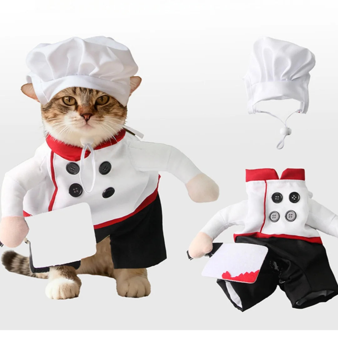 Fantasia Engraçada de Chef para Pets, Roupa de Confeiteiro Fofa para Cães e Gatos para Festas, Aniversários, Sessões de Fotos e Cosplay – Vestuário para Filhotes e Gatinhos
