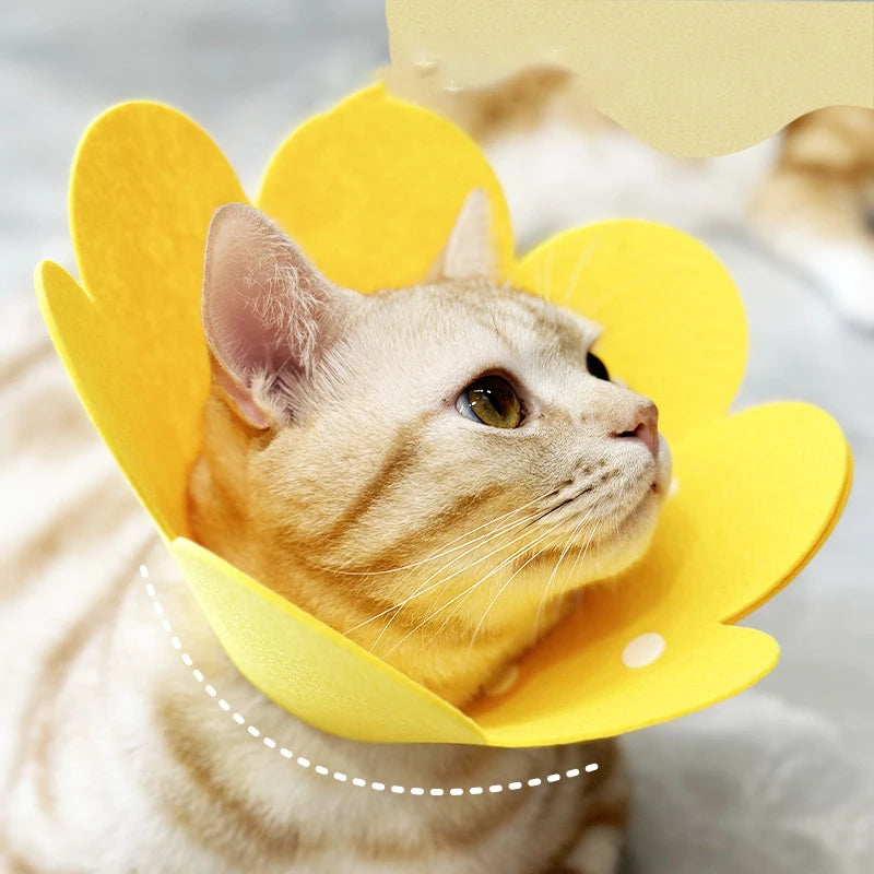 Coleira Protetora Ajustável em Formato de Flor para Recuperação de Pets, Coleira Elizabetana Anti-Mordida para Cães e Gatos em Recuperação