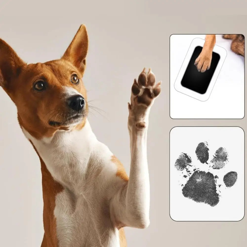 Kit de Impressão de Patas para Gatos e Cães, Almofada de Tinta Não Tóxica e Sem Contato para Lembranças de Animais de Estimação
