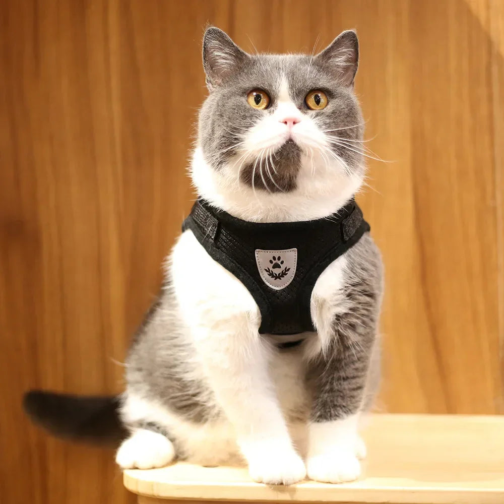 Conjunto de coleira de chumbo para gatos, ajustável, reflexivo, à prova de fuga, colete de malha para animais de estimação, coleira para cachorro, cachorro pequeno, gato, suprimentos para animais de estimação
