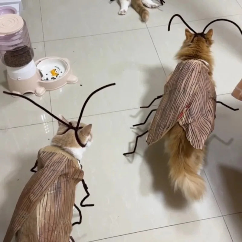 Fantasia de Gato com Capuz de Barata para Halloween, Traje Engraçado para Animais de Estimação, Roupa para Festas e Festivais, para Gatinhos e Filhotes de Porte Pequeno e Médio, Adereços para Fotos