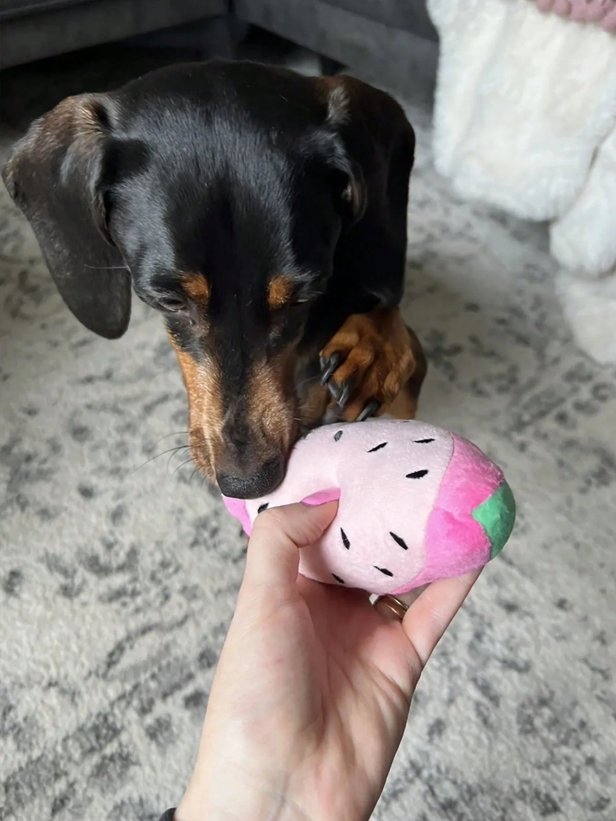 Brinquedo de Pelúcia em Forma de Melancia para Cães e Gatos para Interação e Brincadeira