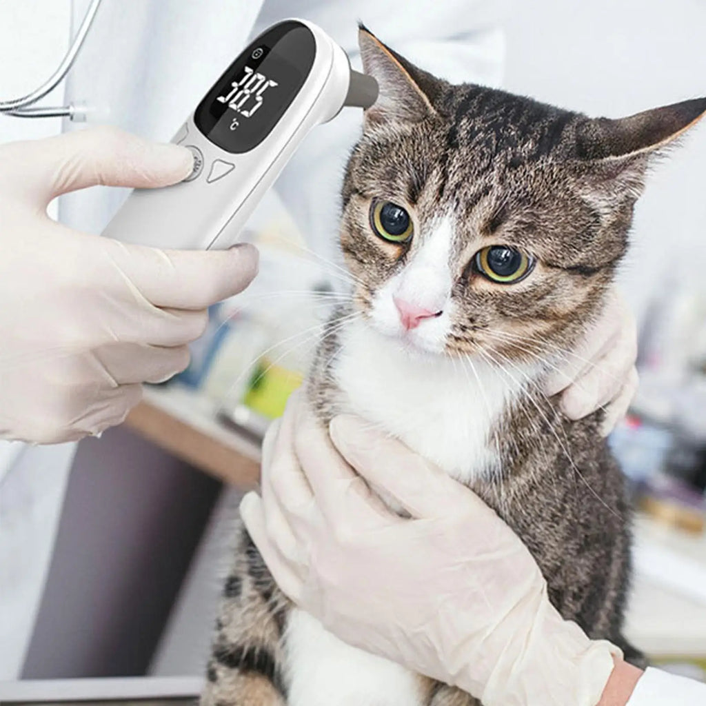 Termômetros para Animais de Estimação para Cães, Termômetros Veterinários, Dispositivo Preciso para Detecção de Febre em Animais de Estimação, Suprimentos para Animais de Estimação, Termômetros Veterinários