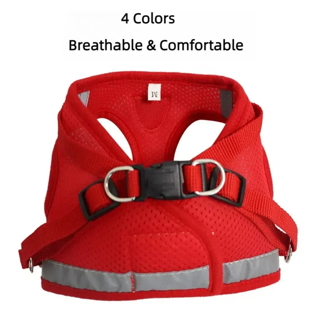 Conjunto de coleira de chumbo para gatos, ajustável, reflexivo, à prova de fuga, colete de malha para animais de estimação, coleira para cachorro, cachorro pequeno, gato, suprimentos para animais de estimação