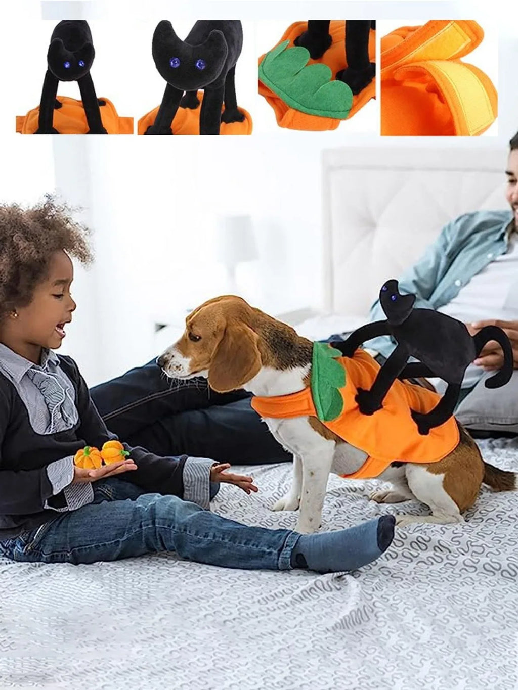 Halloween Pumpkin Pet Costume, Trajes de gato preto para cães, Cosplay para animais de pequeno a grande porte