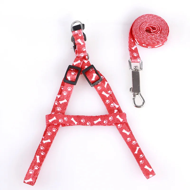 Coleira para Cães Pequenos, Coleiras para Filhotes, Conjunto de Coleira e Peitoral para Teddy, Conjunto de Corda de Guia Fofa