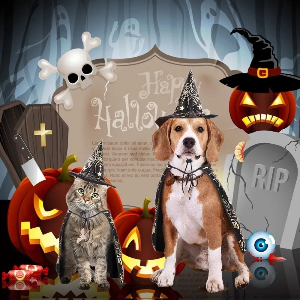 Engraçado abóbora animal de estimação trajes de halloween capa ajustável macio gatos cosplay roupas morcego preto halloween animal de estimação vestuário festa