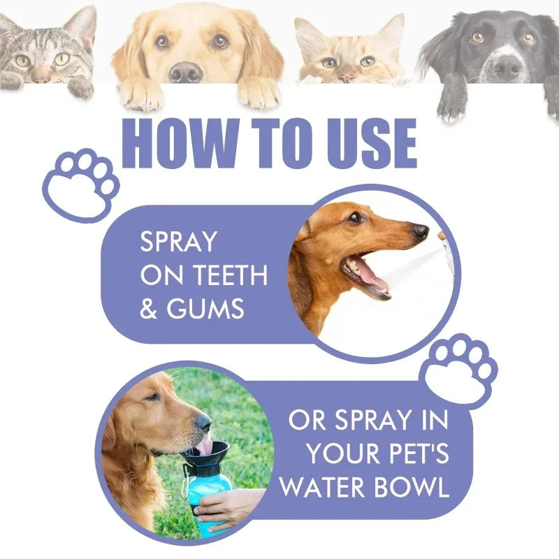 Spray de Cuidado Oral para Cães Limpeza de Dentes de Animais de Estimação Hálito Fresco Higiene Dental Diária Cuidado Suave para a Boca Fácil de Usar