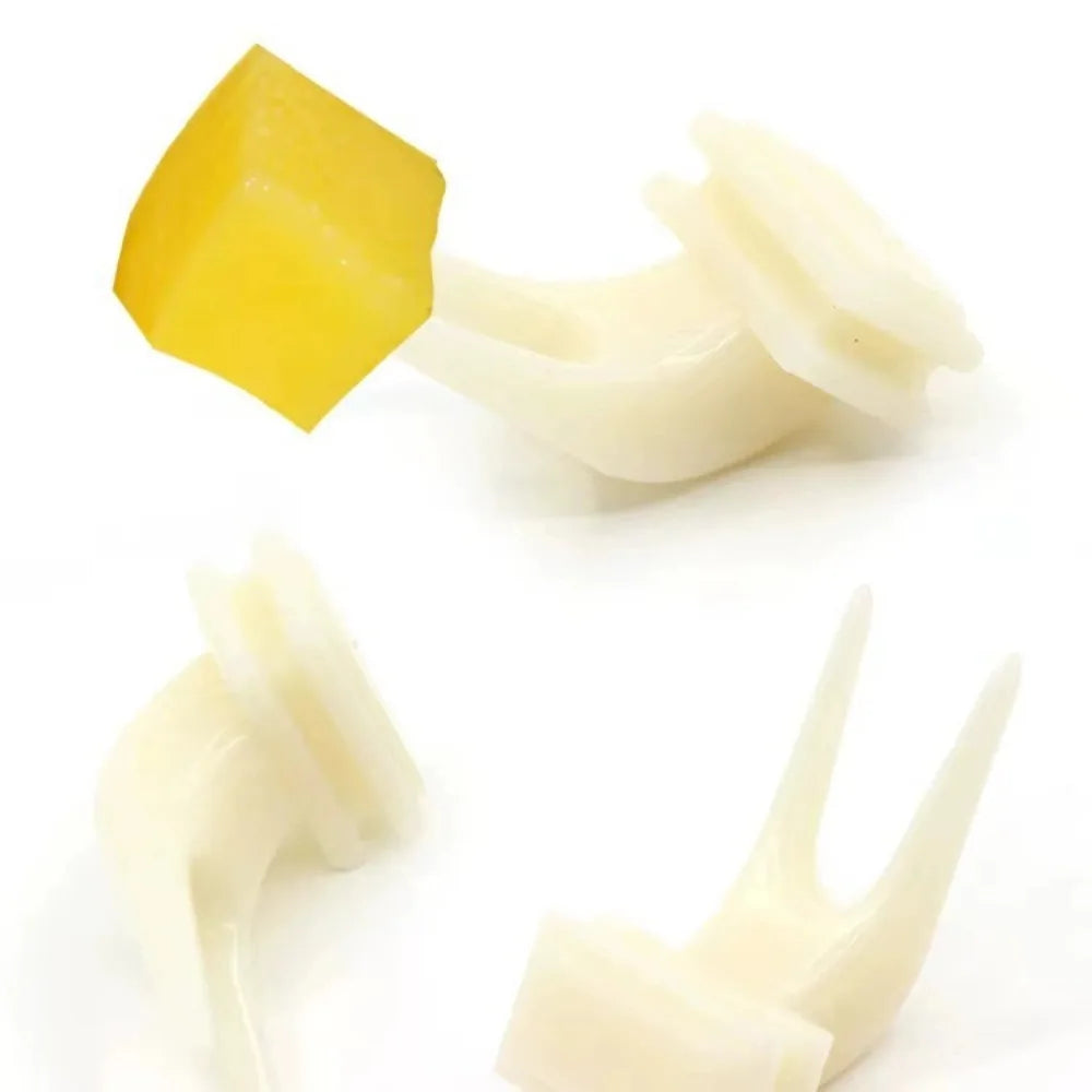 5 Garfos de Frutas Duráveis de Plástico para Gaiola de Pássaros, Acessórios para Alimentação de Papagaios, Suporte para Petiscos, Utensílios para Pássaros, Suprimentos Multifuncionais para Animais de Estimação