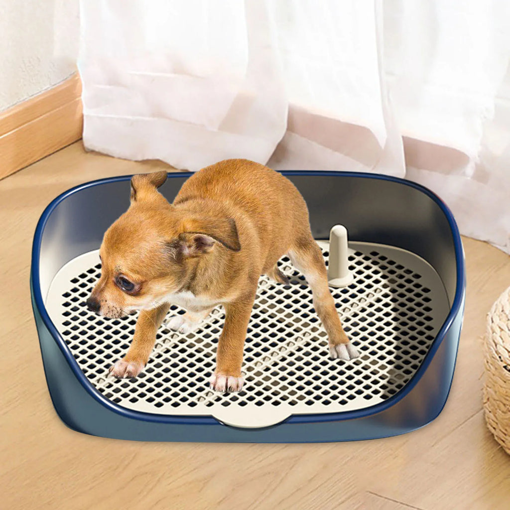 Cão de estimação toalete para gato portátil interior ao ar livre com proteção parede treinamento almofada titular lavatório bacia caixa maca treinador corne