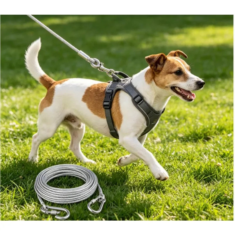 Corda de Amarração Dupla para Cães com Fivela de Metal, Cabo de Aço Antiferrugem, Coleira para Treinamento ao Ar Livre, Alça de Tração Durável