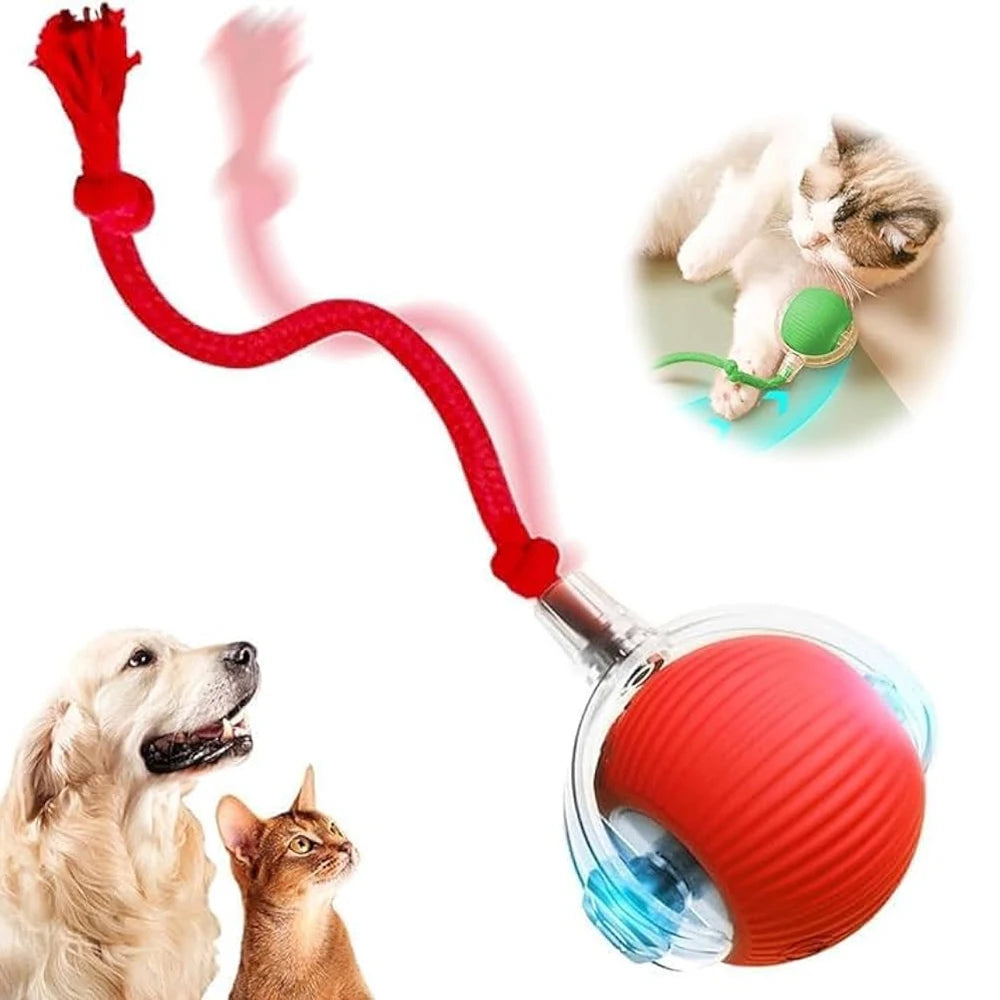 Automatic Toy for Cats Interactive Ball with Motion Sensor and Fake Tail Safe Design That Doesn't Hurt