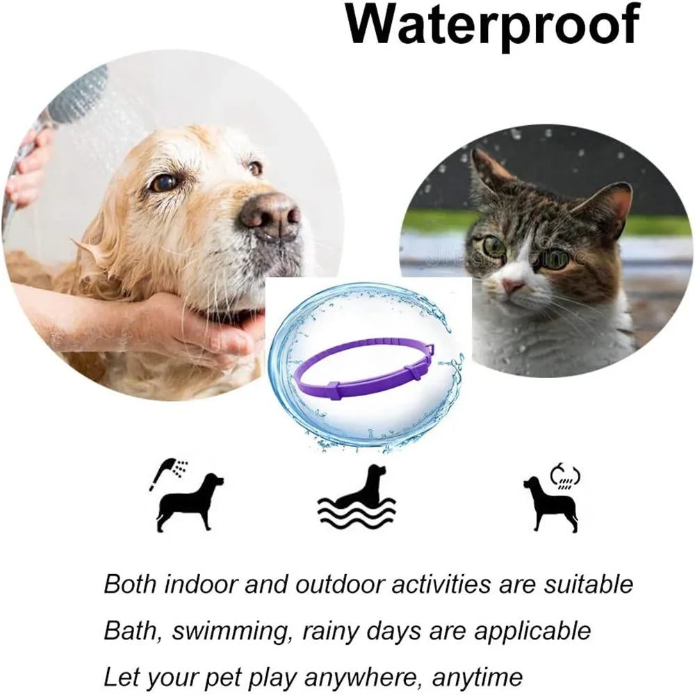Coleira calmante para animais de estimação, para gatos, cães, ajustável, ansiedade, feromônio, reduzindo coleira para animais de estimação, duradoura, natural, calma, relaxar, calmante
