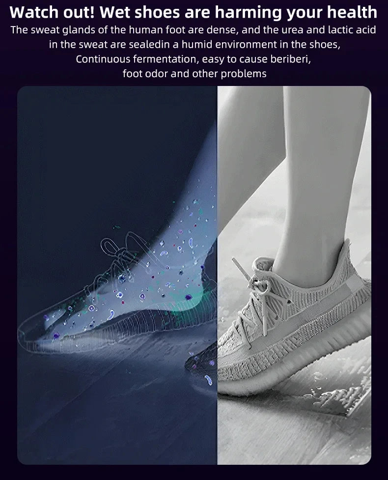 HOMEFISH Secador de sapatos elétrico estilo coreano 220V - Aquecedor de calçados para desodorização e esterilização de aparelhos para uso doméstico