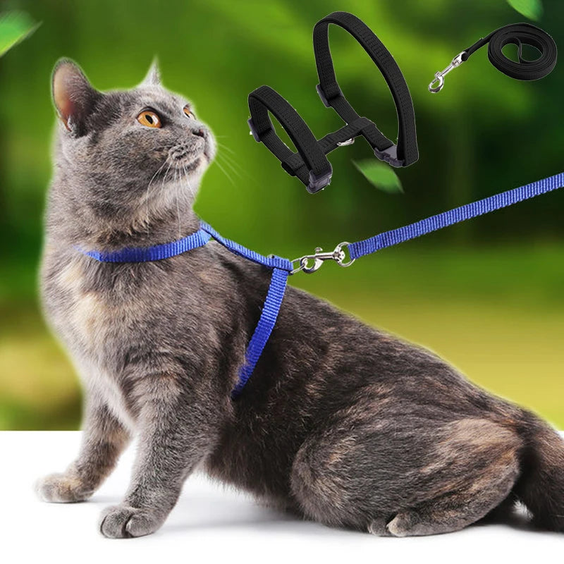 Coleira ajustável para gatos, coleira aconchegante de nylon para coelho, gatinhos, conjunto de coleira para cães e gatos, produtos para animais de estimação