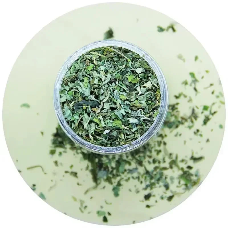 Brinquedo Interativo para Gatos com Sabor de Menta de Catnip 100% Natural e de Alta Qualidade, Novo Brinquedo para Gatos, Suprimentos para Animais de Estimação