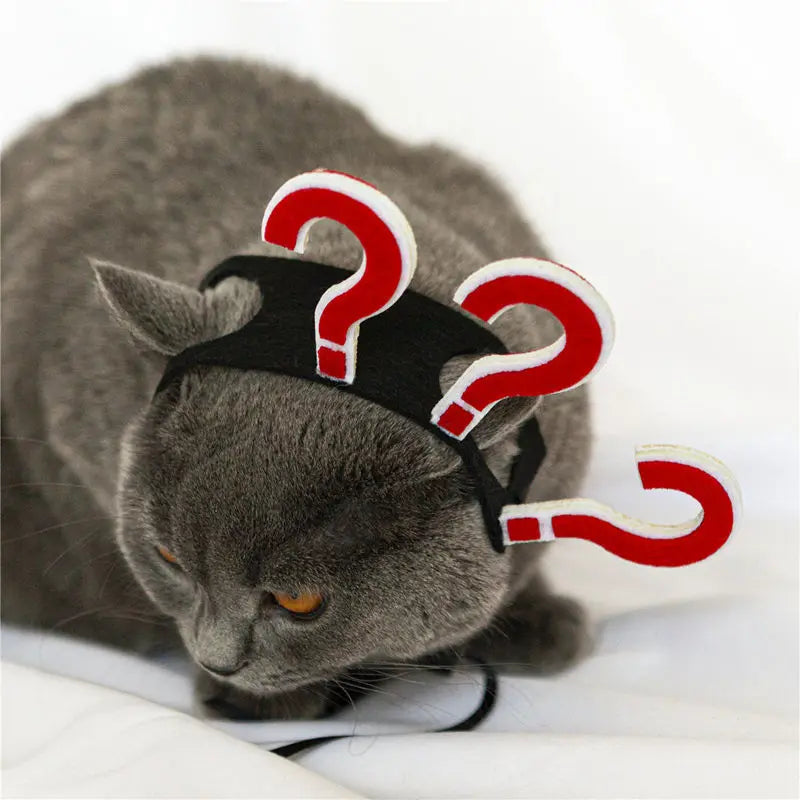 Traje de animal de estimação engraçado headwear para gato filhote de cachorro cão halloween fotografia adereços fontes de festa acessórios para animais de estimação