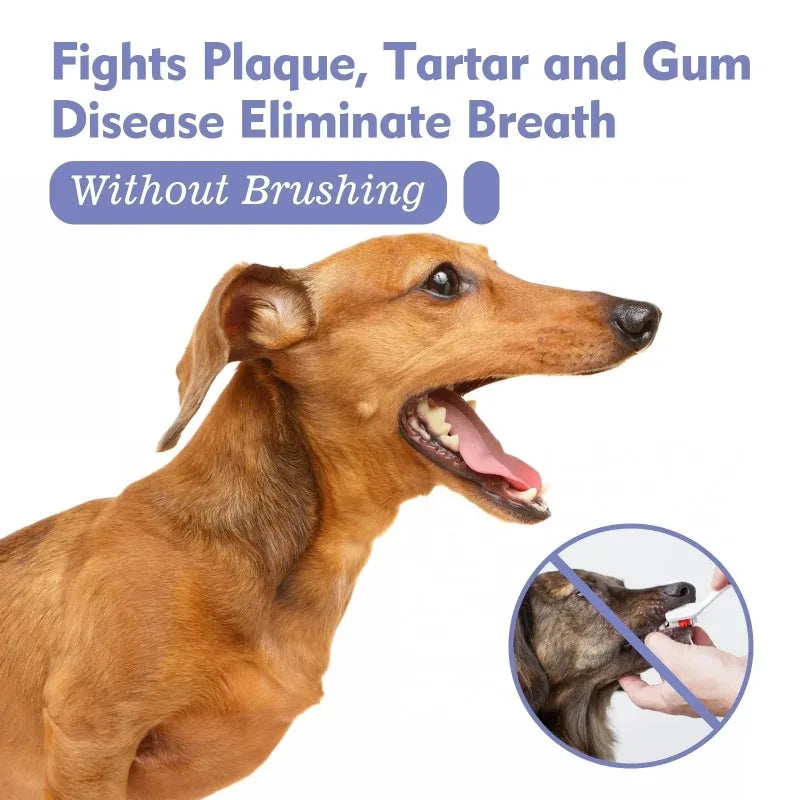 Spray de Cuidado Oral para Cães Limpeza de Dentes de Animais de Estimação Hálito Fresco Higiene Dental Diária Cuidado Suave para a Boca Fácil de Usar