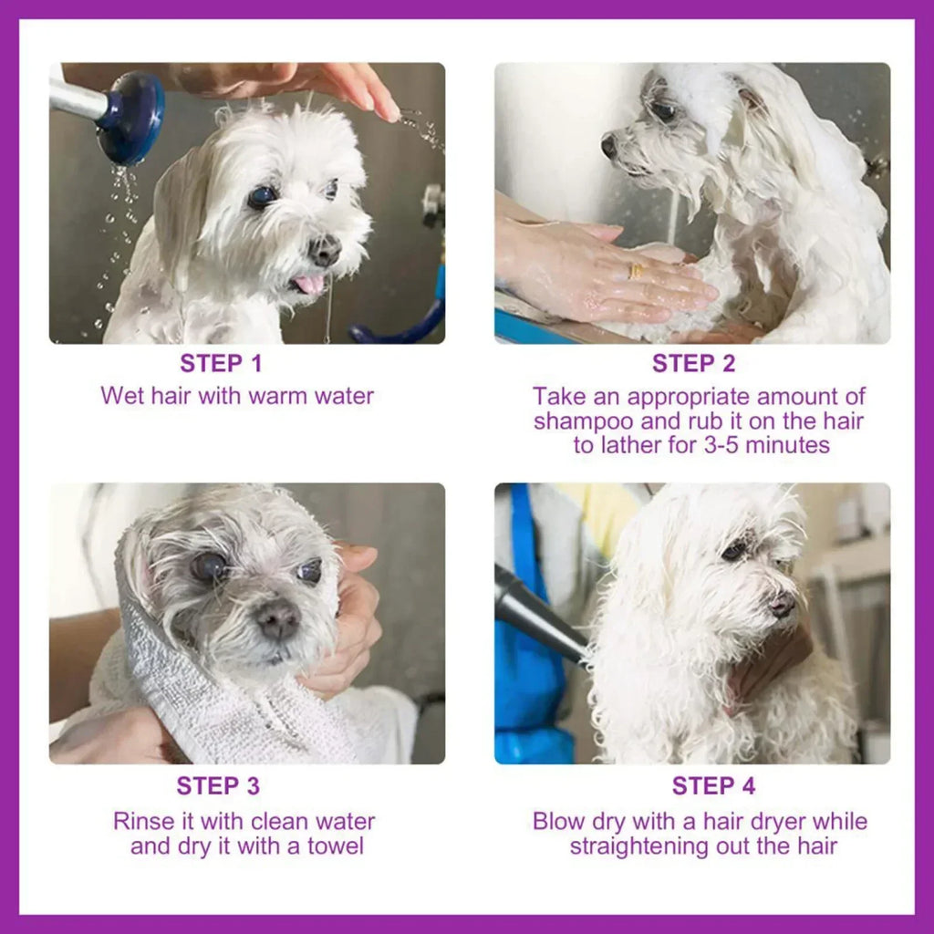 Shampoo e Condicionador para Animais de Estimação com Óleos Essenciais Puros de Lavanda, Fórmula Sem Lágrimas para Cães e Gatos, pH Balanceado, Cuidado Suave 100ml