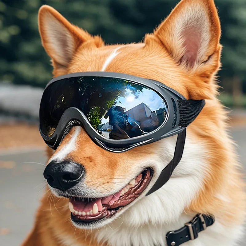Óculos de sol para cães ajustáveis, óculos de sol anti-uv, proteção para os olhos, preto, amplamente utilizado, suprimentos para cães de estimação