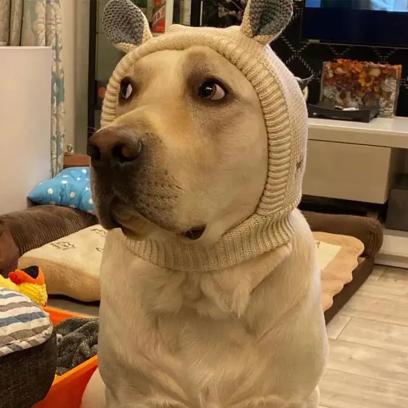 Chapéu de inverno aconchegante para animais de estimação, proteção para os ouvidos, chapéu quente para cães médios e grandes, ideal para caminhadas ao ar livre, clima frio, fantasia de férias Kasa & Pet
