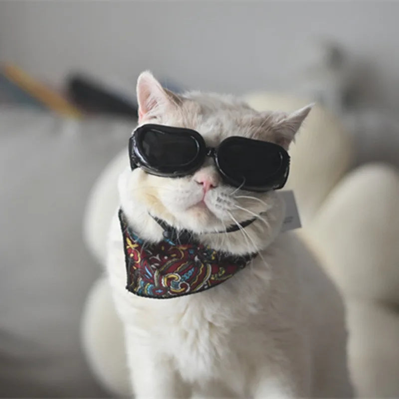 Suprimentos para animais de estimação moda gatos cães óculos de sol à prova de vento à prova de poeira óculos para viagens ao ar livre óculos de proteção uv verão