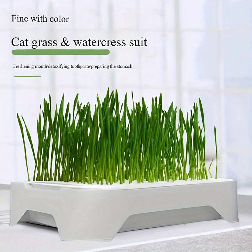 Bacia de plantio de grama para gato de estimação, cultura sem solo, vaso de mudas de trigo, dispositivo hidropônico de grama para gatinhos, vaso de plantio horticultura