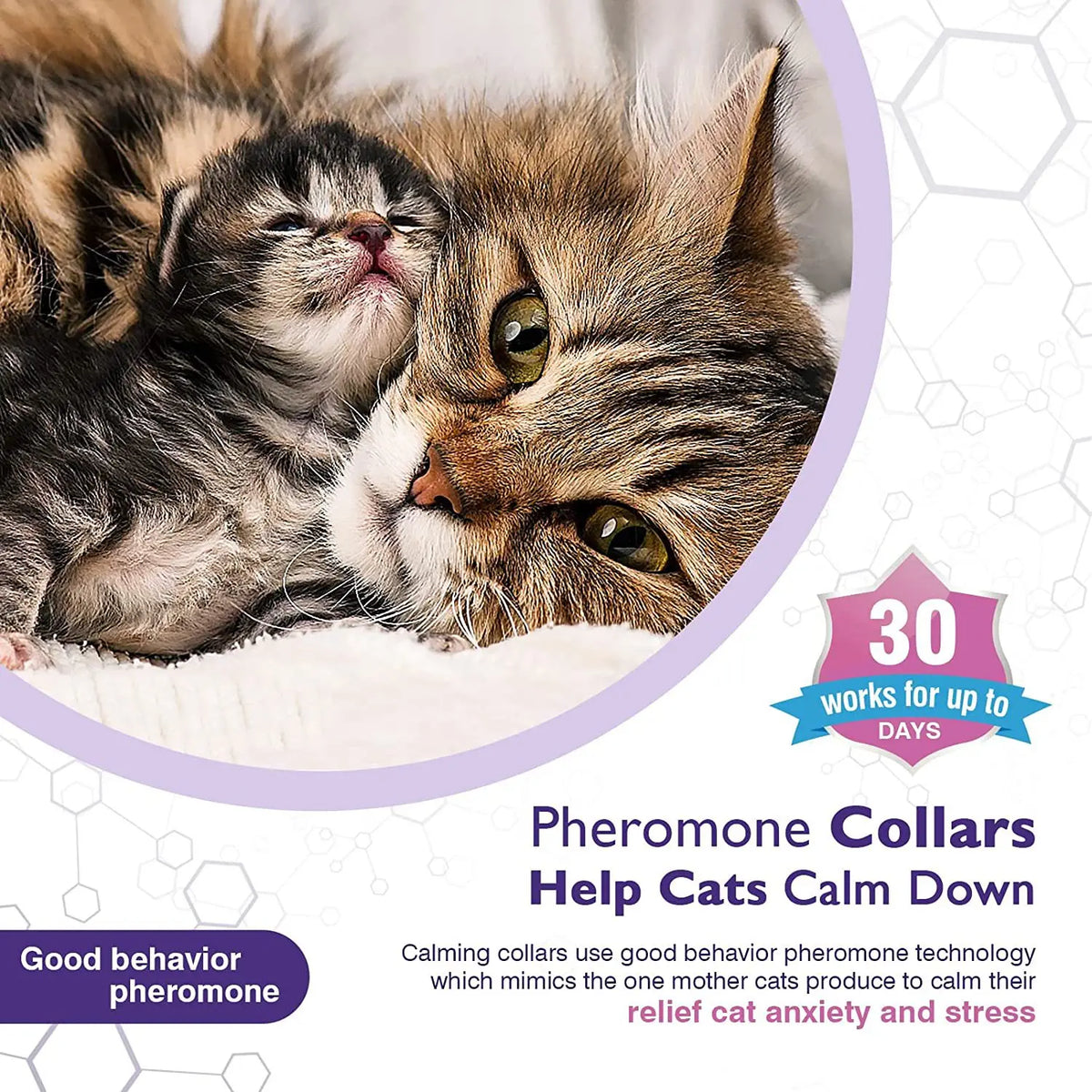 Coleira calmante para animais de estimação, para gatos, cães, ajustável, ansiedade, feromônio, reduzindo coleira para animais de estimação, duradoura, natural, calma, relaxar, calmante