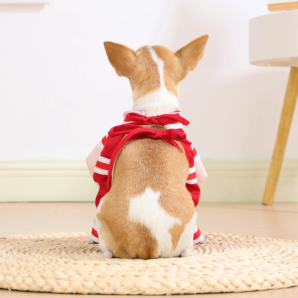 Fantasia de Basquete para Pets de Halloween com Bola 3D, Roupa Divertida de Cosplay Esportivo para Cães Pequenos e Médios, Vestuário para Pug, Sessões de Fotos e Brincadeiras