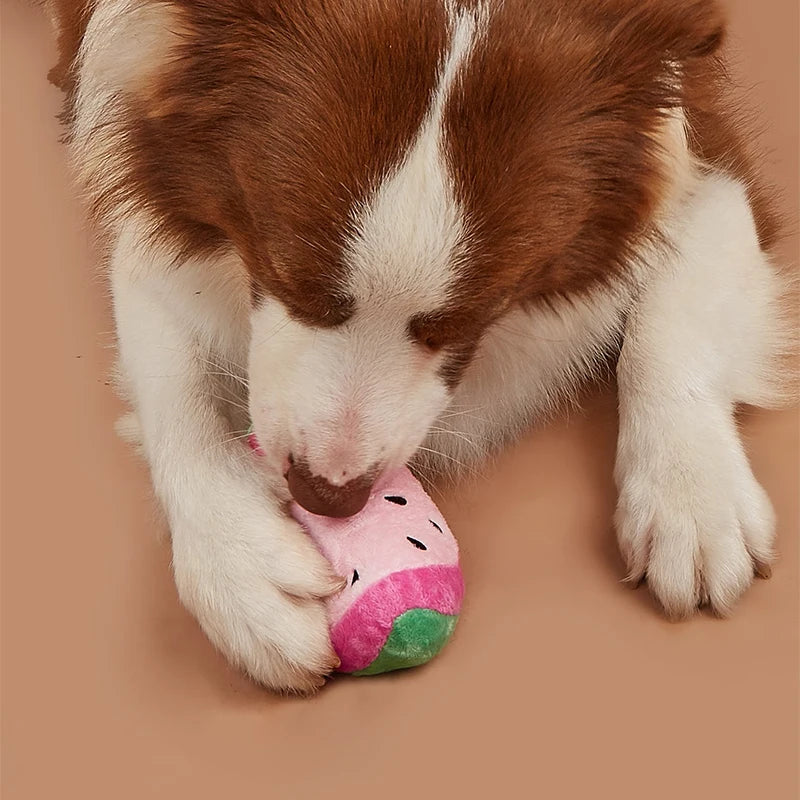Brinquedo de Pelúcia em Forma de Melancia para Cães e Gatos para Interação e Brincadeira