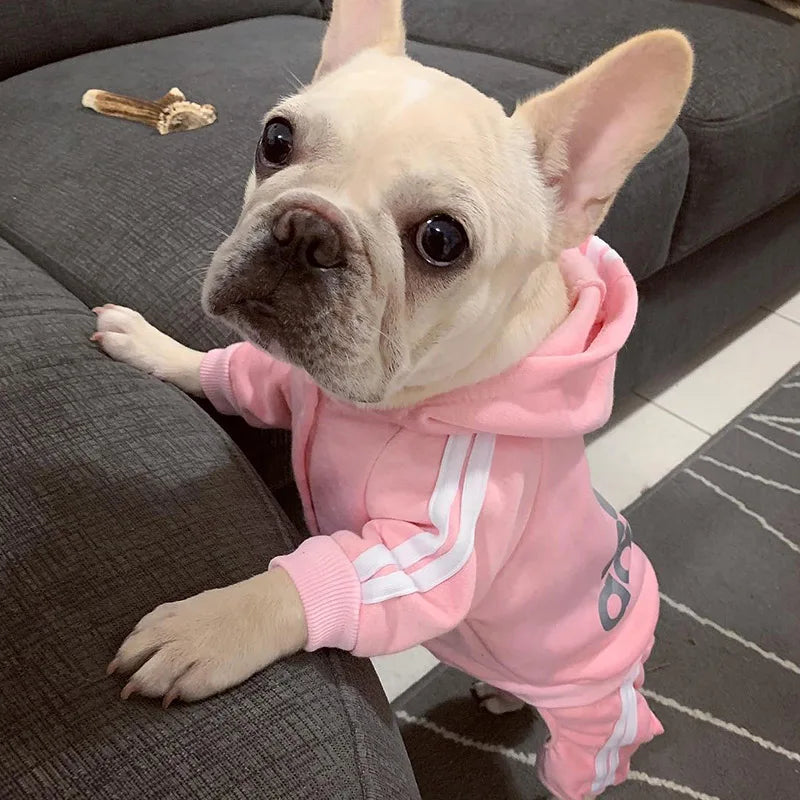 Roupa para animais de estimação roupas para cães pequenos cães médios roupa para cachorro com capuz moletom