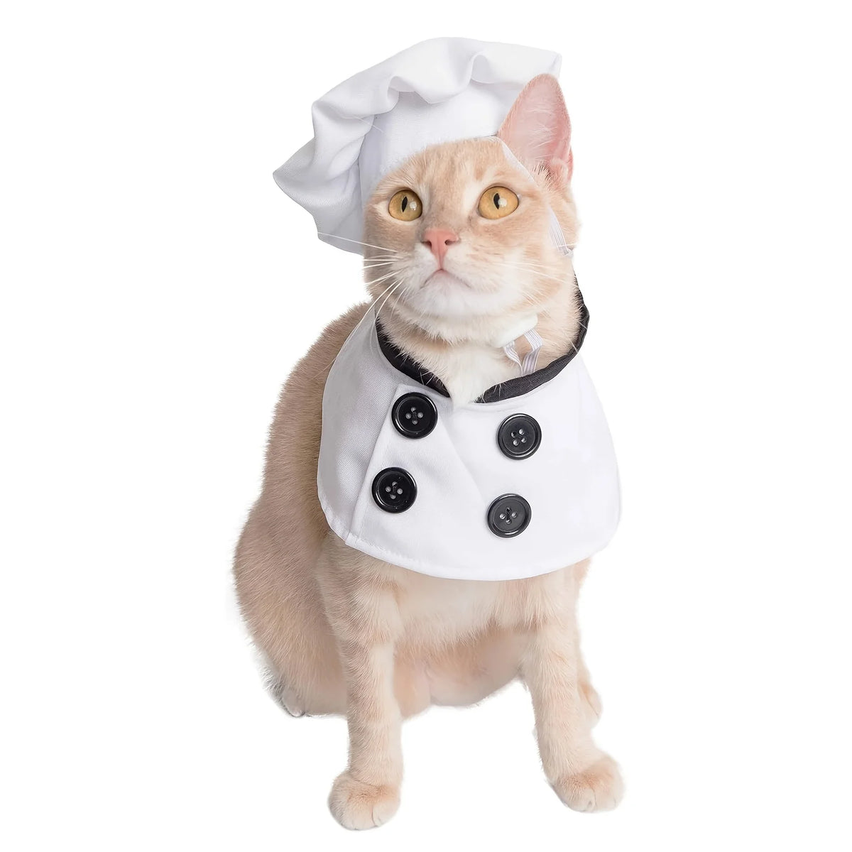 Conjunto de Fantasia para Animais de Estimação Top Chef com 2 Peças, Chapéu e Avental, Roupas Engraçadas e Fofas para Gatos e Cães, Fantasia de Chef para Cães em Feriados, Roupas com Tema de Restaurante