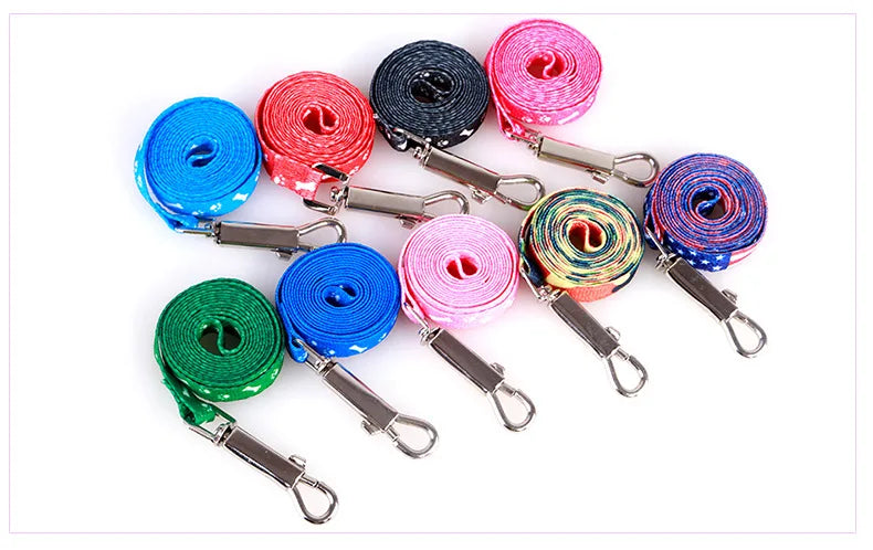 Coleira para Cães Pequenos, Coleiras para Filhotes, Conjunto de Coleira e Peitoral para Teddy, Conjunto de Corda de Guia Fofa