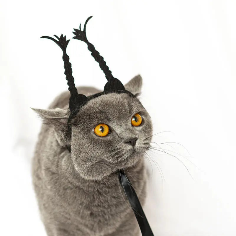 Traje de animal de estimação engraçado headwear para gato filhote de cachorro cão halloween fotografia adereços fontes de festa acessórios para animais de estimação
