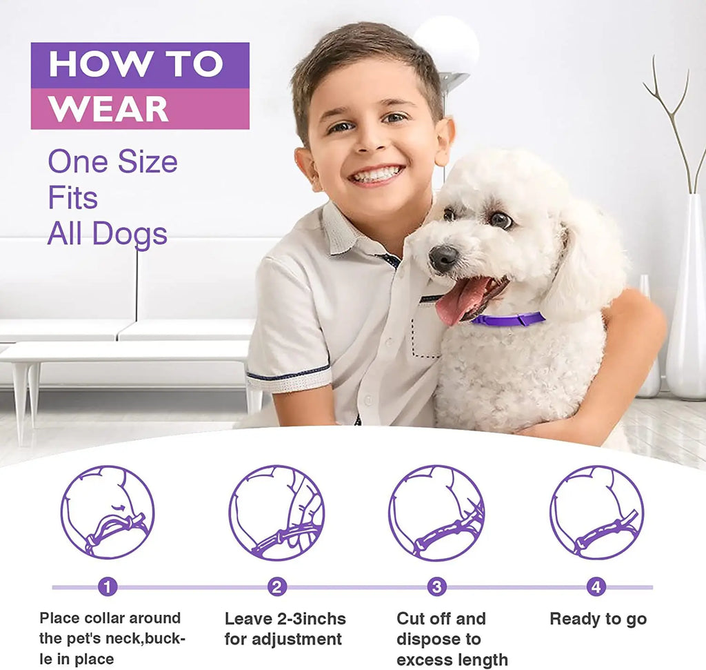 Coleira calmante para animais de estimação, para gatos, cães, ajustável, ansiedade, feromônio, reduzindo coleira para animais de estimação, duradoura, natural, calma, relaxar, calmante