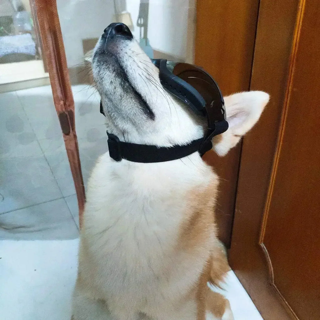 Óculos de sol ajustáveis para cães, com proteção UV, para uso em animais de estimação, proteção para os olhos, cor preta, óculos de sol para cães, artigos para cães.